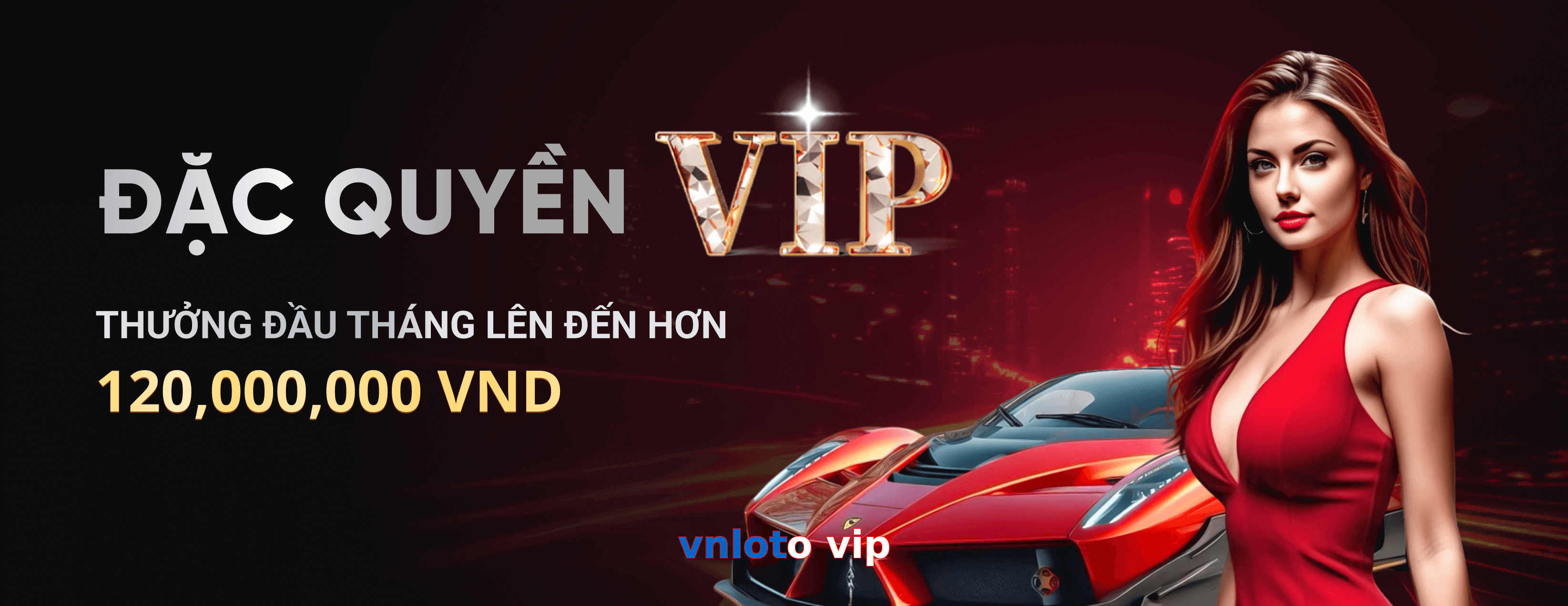 vnloto vip
