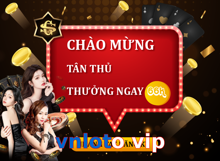 vnloto vip